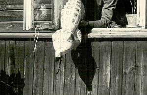 Ludzka mozaika na Nowym Bródnie