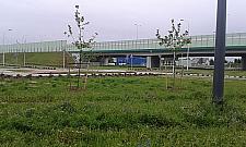 Tramwaj na Tarchomin: były tory, jest łąka