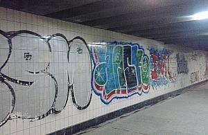 Szczurza nora pod Wolską. "Mamy tego dość"