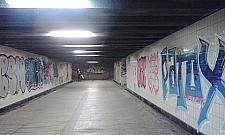 Szczurza nora pod Wolską. "Mamy tego dość"