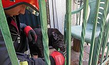 Upał odbiera ludziom rozum. Cierpią zwierzęta