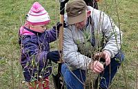 Akcja sadzenia drzew odwołana? "Fanaberia poprzedniej władzy"