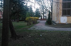 Siłownie pod chmurką: starsi nie chcą ćwiczyć przy dzieciach