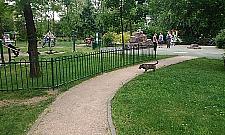 Siłownie pod chmurką: starsi nie chcą ćwiczyć przy dzieciach