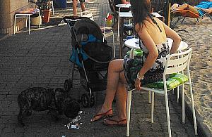 Limoni: lody dla ludzi i... psów zawitały do Legionowa