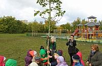 Dwadzieścia drzew na otarcie łez