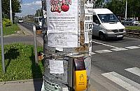 Plaga śmieci na latarniach. Da się z nią wygrać?