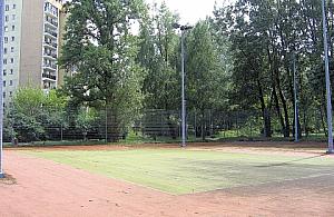 Środkowa Białołęka - kosze, chodniki czy kort tenisowy? Głosuj!