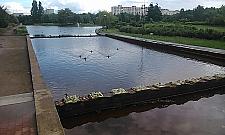 Jak uatrakcyjnić park na Bródnie? Zobacz pomysły!