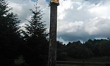 Jak uatrakcyjnić park na Bródnie? Zobacz pomysły!