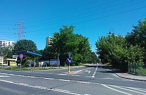 Lasek przy Norwida, "teren nieustalony" leży odłogiem