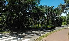 Lasek przy Norwida, "teren nieustalony" leży odłogiem