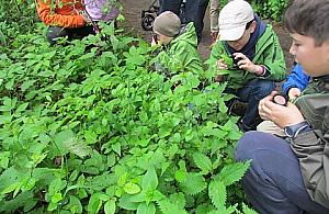 Bawiąc - uczą, czyli przyrodniczy spacer po Bielanach