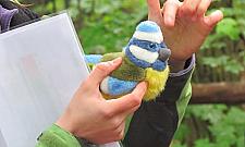 Bawiąc - uczą, czyli przyrodniczy spacer po Bielanach