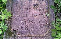 Zapomniany cmentarz na Kępie Tarchomińskiej