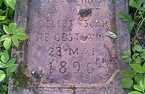 Zapomniany cmentarz na Kępie Tarchomińskiej