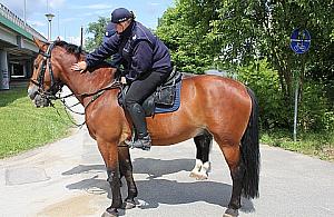 Wołodyjowski by się nie powstydził