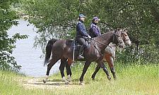 Wołodyjowski by się nie powstydził