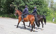 Wołodyjowski by się nie powstydził