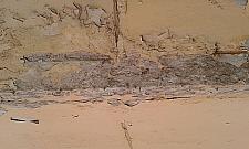 Stacje linii otwockiej. "Robi się niedobrze"