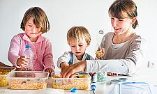 Tu dzieci programują swoją wersję Angry Birds!