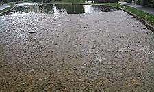 Brud i glony w oczkach wodnych w parku Bródnowskim