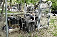 Koci domek stoi sobie na Br�dnie