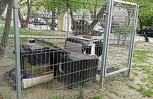 Koci domek stoi sobie na Bródnie