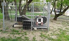 Koci domek stoi sobie na Bródnie