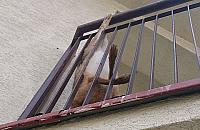 Makabra na Nowodworach: padlina na balkonie