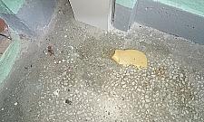 Bajka o szczurze i serze - prosto z Wrzeciona