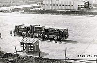 Fantastyczne zdjęcie z Cyfrowego Archiwum Bemowa