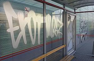 Radosne zabawy inteligentnych inaczej