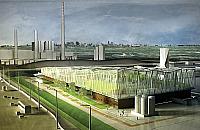 Elektrownia na... glony powstanie na �eraniu?