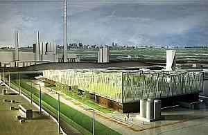 Elektrownia na... glony powstanie na Żeraniu?