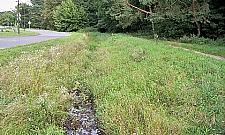 Potok Bielański: już nie płynie?