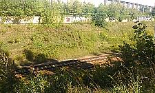Stracona szansa na park Jelonki Południowe?