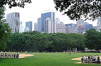 Tarchomiński Central Park? Stwórzmy go w samym centrum osiedla