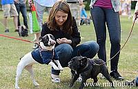 Buldogi zjadą na Forty Bema