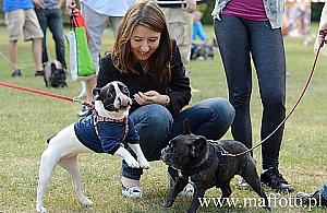 Buldogi zjadą na Forty Bema