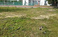 Przysz³o nowe na Bia³o³êkê. Ale czy na pewno?