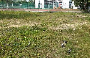 Przyszło nowe na Białołękę. Ale czy na pewno?