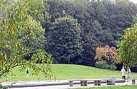 Demony przeszłości w parku Olszyna