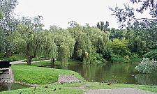 Nie będzie kamer w wolskich parkach