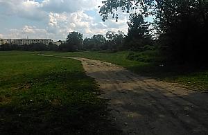 Nikt nie chce kupić pola po PGR