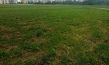 Nikt nie chce kupić pola po PGR