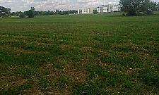 Nikt nie chce kupić pola po PGR