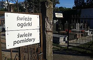 Świeże warzywa w doborowym towarzystwie