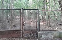 Wirtualna rzeczywistość Akademii Wychowania Fizycznego