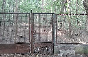 Wirtualna rzeczywistość Akademii Wychowania Fizycznego